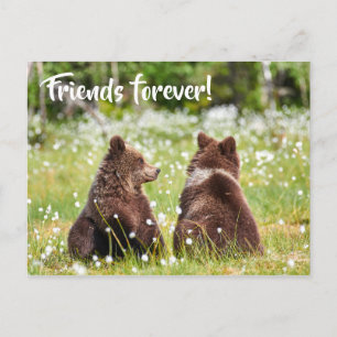 Carte postale des amis pour toujours