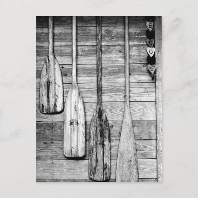 Carte Postale Des avirons sont accrochés sur un hangar en bois à (Devant)