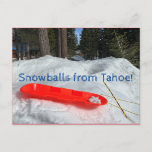 Carte Postale Des boules de neige de Tahoe !