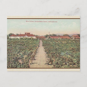 Carte postale des caves à vin Asti Californie