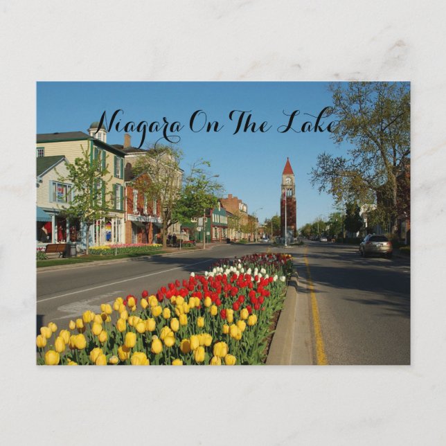 CARTE POSTALE DES CHUTES DU NIAGARA (Devant)