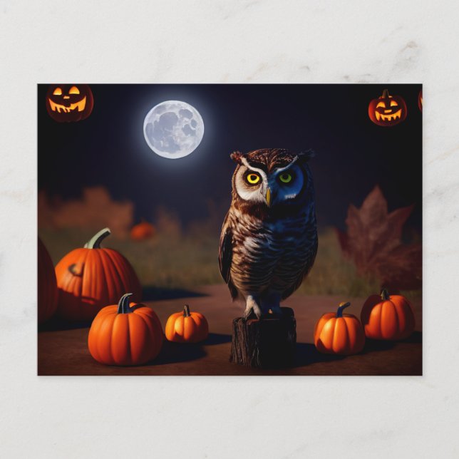 Carte Postale Des citrouilles et des hiboux d'Halloween la nuit. (Devant)