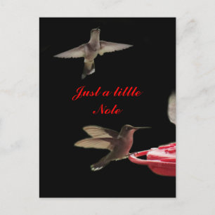 Carte postale des colibris #ct98721- personnaliser