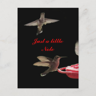 Carte postale des colibris #ct98721- personnaliser