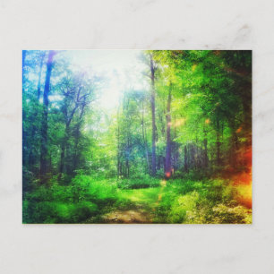 CARTE POSTALE DES COULEURS DE SOLEIL FORESTIER