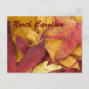 Carte postale des feuilles d'automne de Caroline d