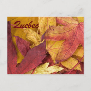 Carte postale des feuilles d'automne de Québec
