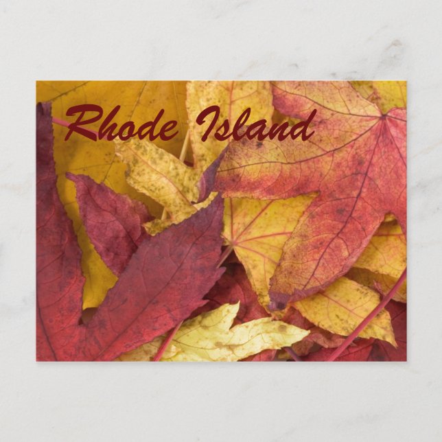 Carte postale des feuilles d'automne de Rhode Isla (Devant)