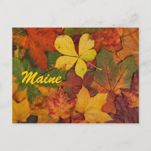 Carte postale des feuilles d'automne du Maine