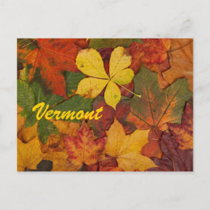 Carte postale des feuilles d'automne du Vermont