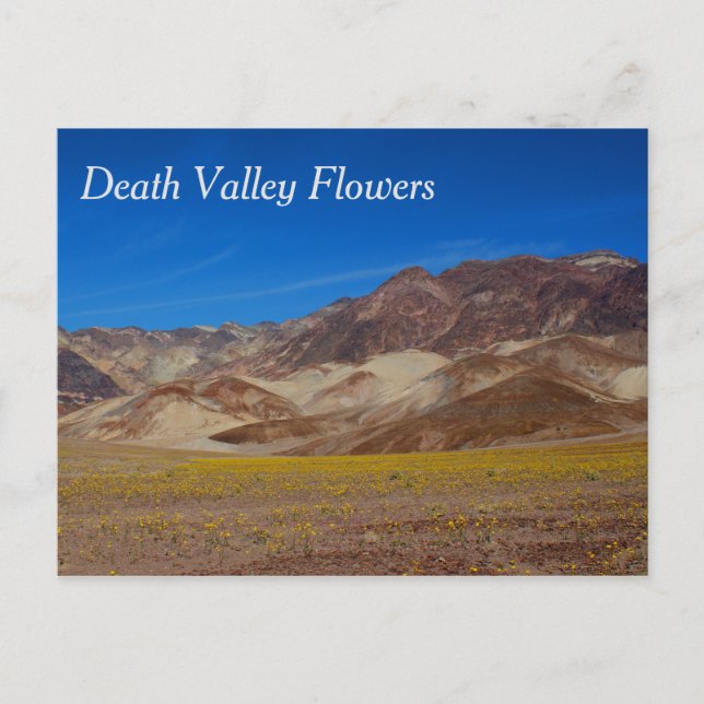 Carte postale des fleurs de la vallée de la mort (Devant)