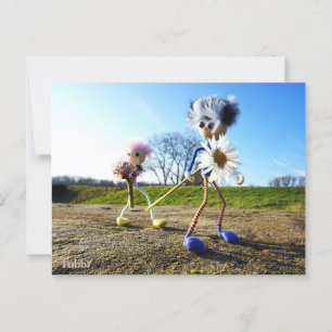 Carte Postale Des fubby dans la nature avec des madélifes.