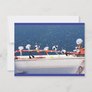 Carte Postale Des fubby qui tirent une ligne d'un bateau de voil