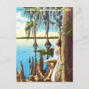 Carte Postale Des genoux vintages à Cypress Gardens en Floride