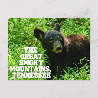Carte postale des Great Smoky Mountains National F