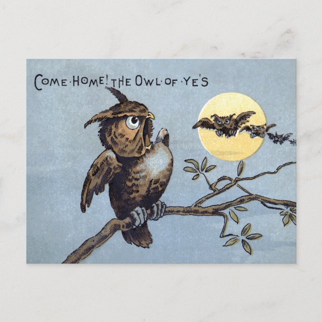 Carte postale des hiboux victoriens  (Devant)