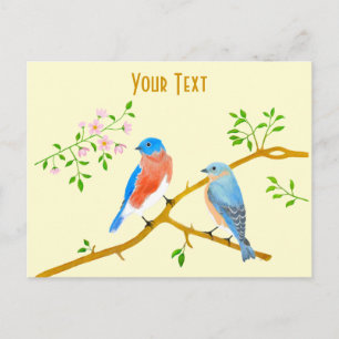 Carte postale des merles bleus