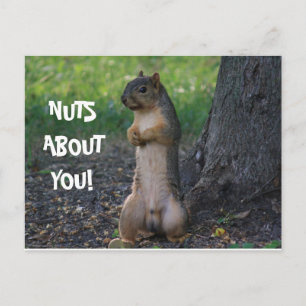 CARTE POSTALE DES NUTS SUR VOUS !