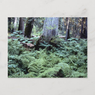 Carte postale des parcs nationaux