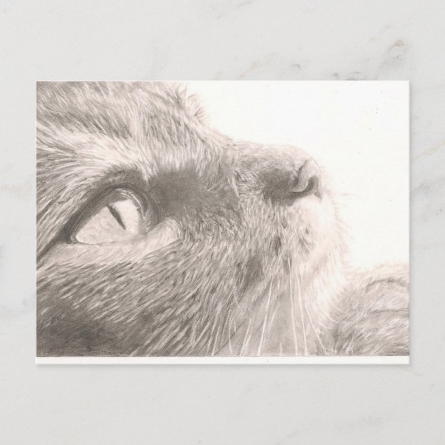 Carte Postale Des pattes pour la pensée (Devant)