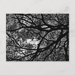 Carte postale des succursales