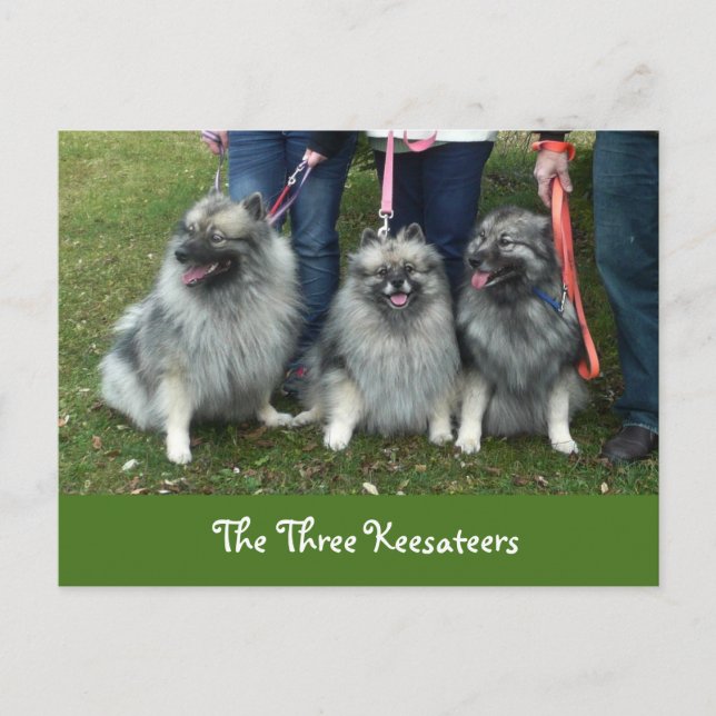 Carte postale des trois gardiens (Devant)