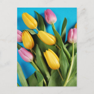 Carte postale des tulipes à ressort rose et jaune