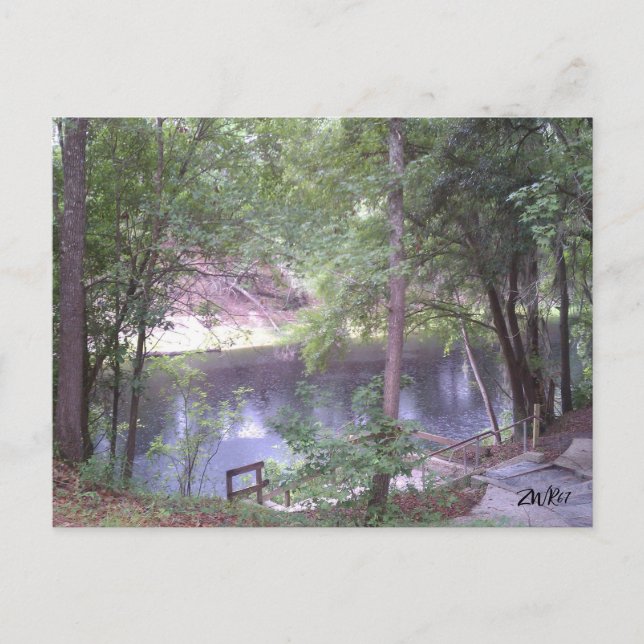 Carte Postale Descendre sur une Suwannee River White Springs Fl. (Devant)