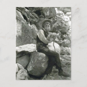 Carte Postale Description John Muir , American conservationist.