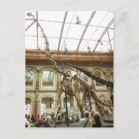 Description Musée d'histoire naturelle de Berlin :