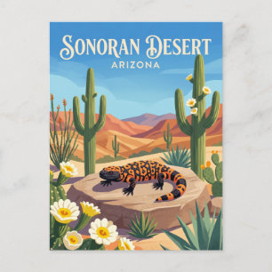 Carte Postale Désert de Sonora États-Unis