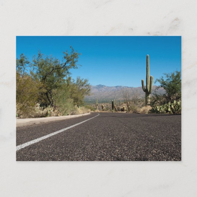 Carte Postale Desert Road (Devant)