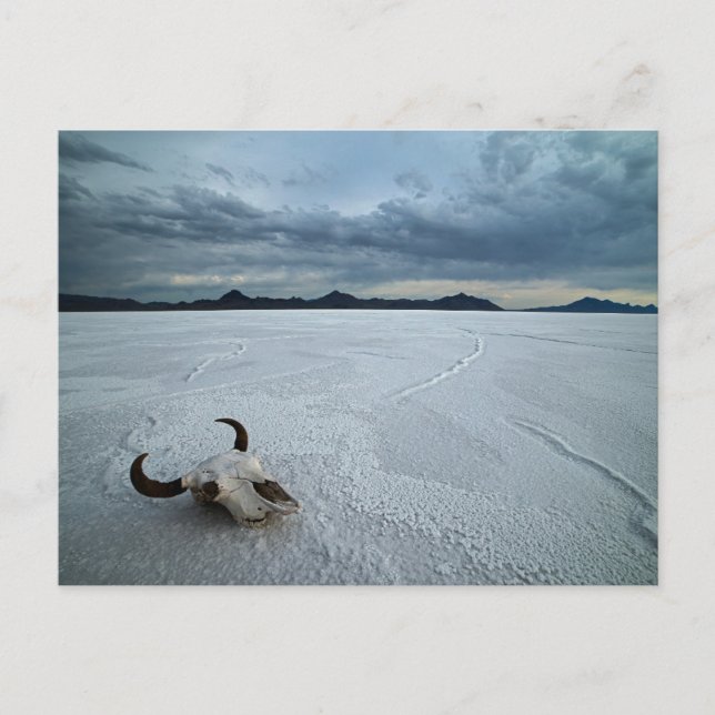 Carte Postale Déserts | Bonneville Salt Flats Utah (Devant)