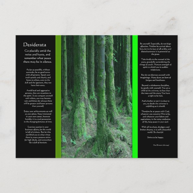 Carte postale DESIDERATA Dark Mossy Forest (Devant)
