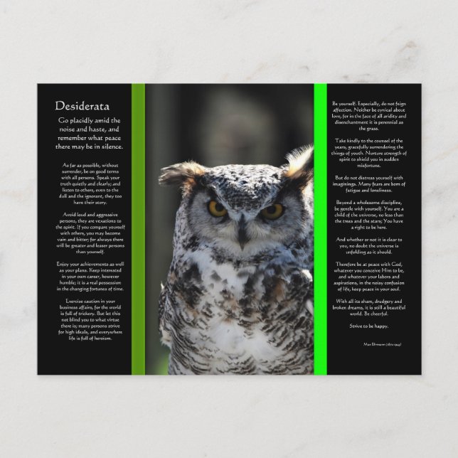 Carte postale DESIDERATA Great Horn Owl 5 (Devant)