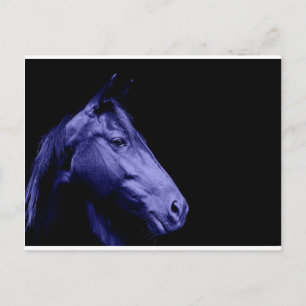 Carte postale Design Cheval bleu