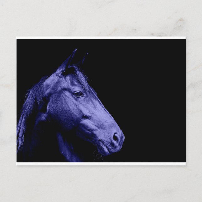 Carte postale Design Cheval bleu (Devant)