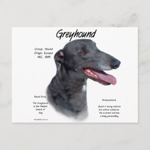 Carte Postale Design d'histoire Greyhound