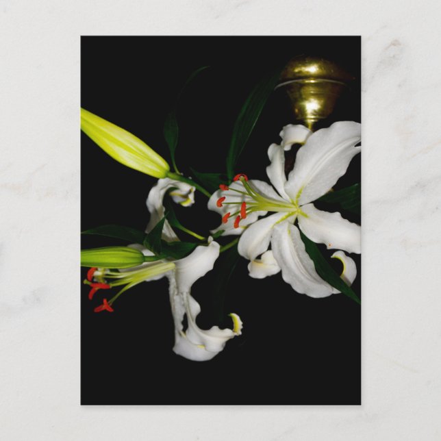 Carte Postale Design irlandais - La collection Flower (Devant)