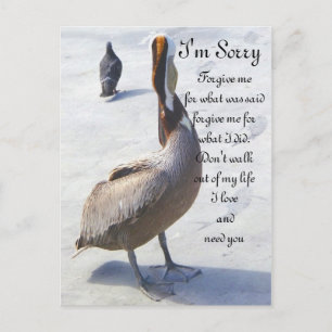 Carte Postale Désolé