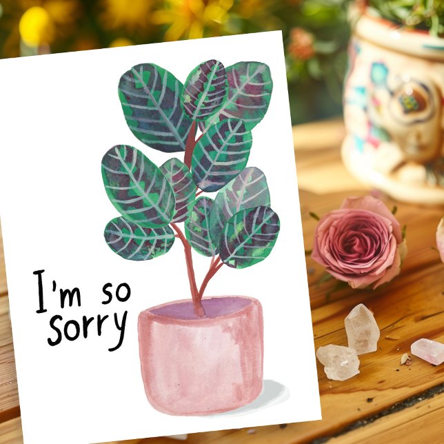 Carte Postale Désolé Condoléances Calathea Plante de prière Aqua (Sorry Condolences Sympathy Calathea Prayer Plant Watercolor Postcard
)
