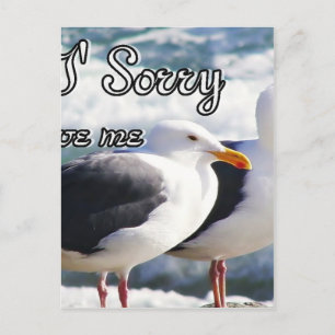 Carte Postale Désolé, Pardonne Moi_