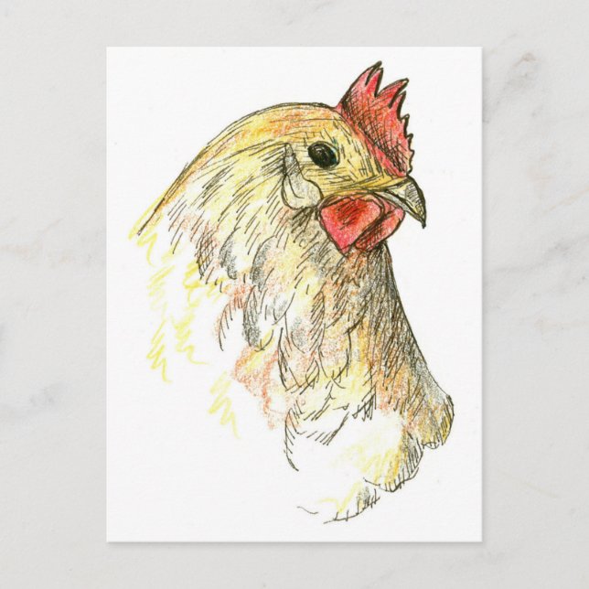 Carte Postale Dessin animal de ferme de poulet Hen (Devant)