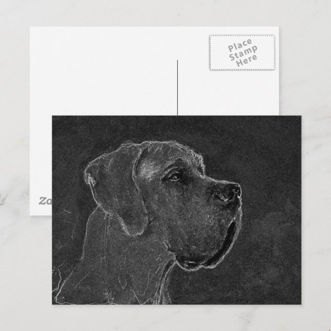 Carte Postale Dessin au charbon de tête de Dogue Allemand (Devant / Derrière)
