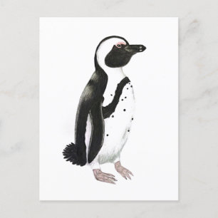 Carte Postale dessin au crayon de pingouin africain