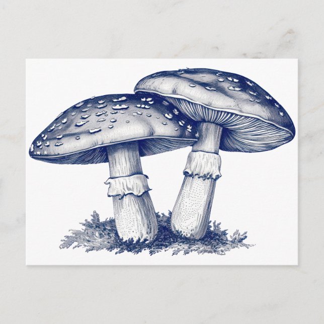 Carte Postale Dessin aux champignons antiques (Devant)
