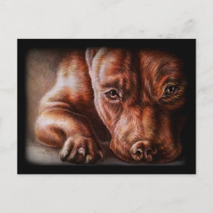 Carte Postale Dessin Brown de la face en pitbulle du chien portr