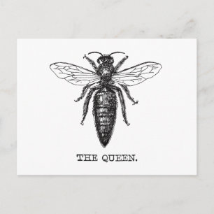 Carte Postale Dessin classique de l'illustration de Queen Bee