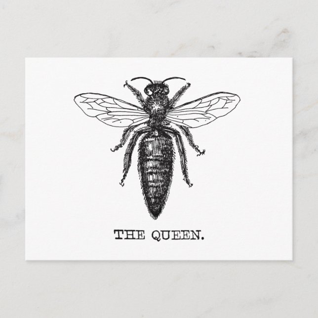 Carte Postale Dessin classique de l'illustration de Queen Bee (Devant)