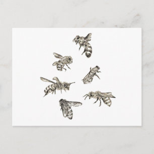 Carte Postale Dessin d'abeilles